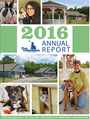 Annual-Report-2016-1